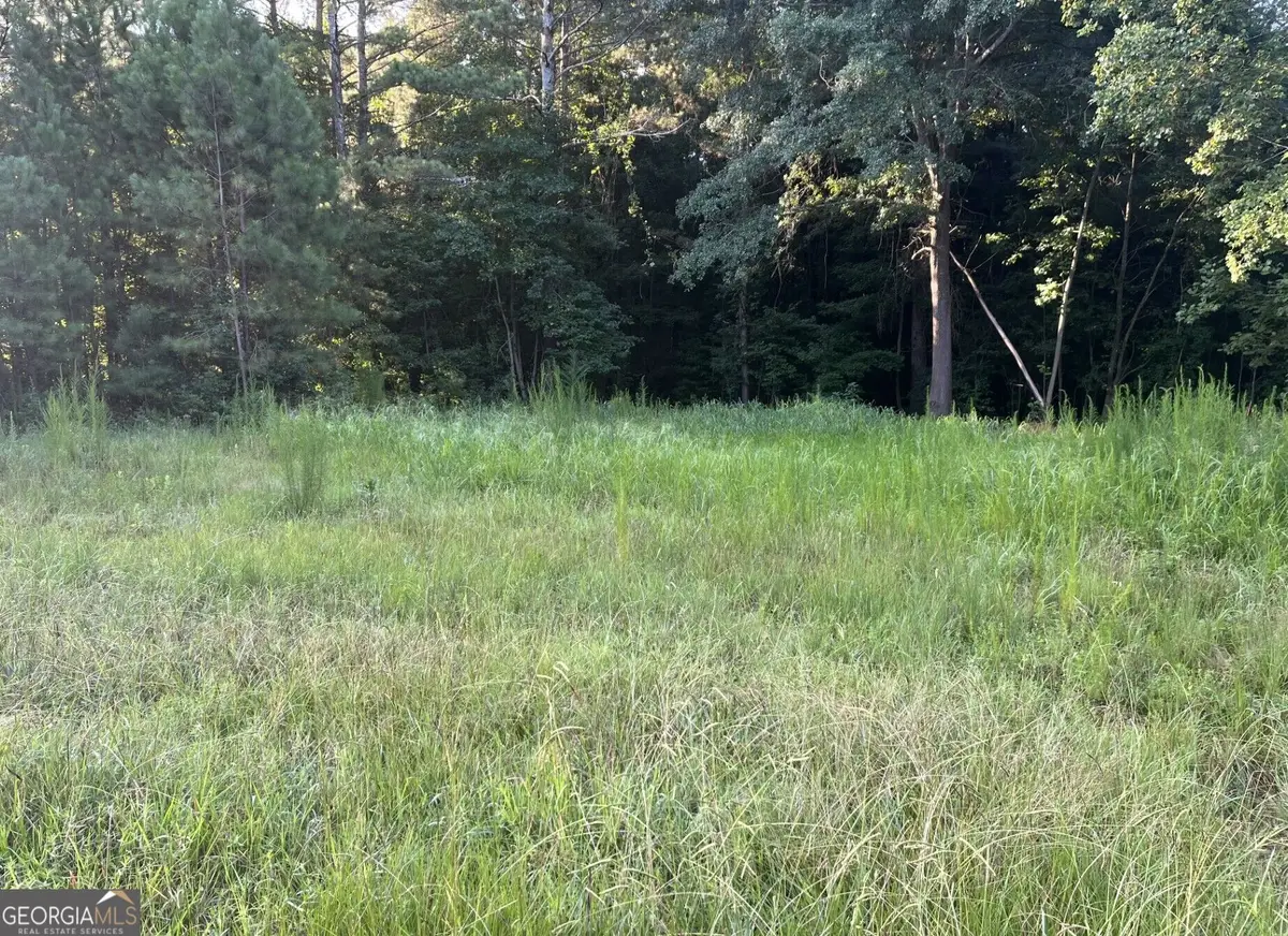 0 Tony Drive, Hartwell, GA 30643 - #1