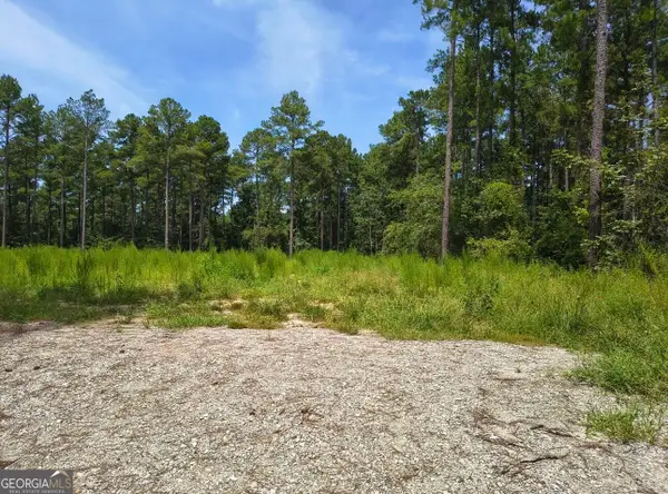 0 Mosley Bridge Road, Claxton, GA 30417