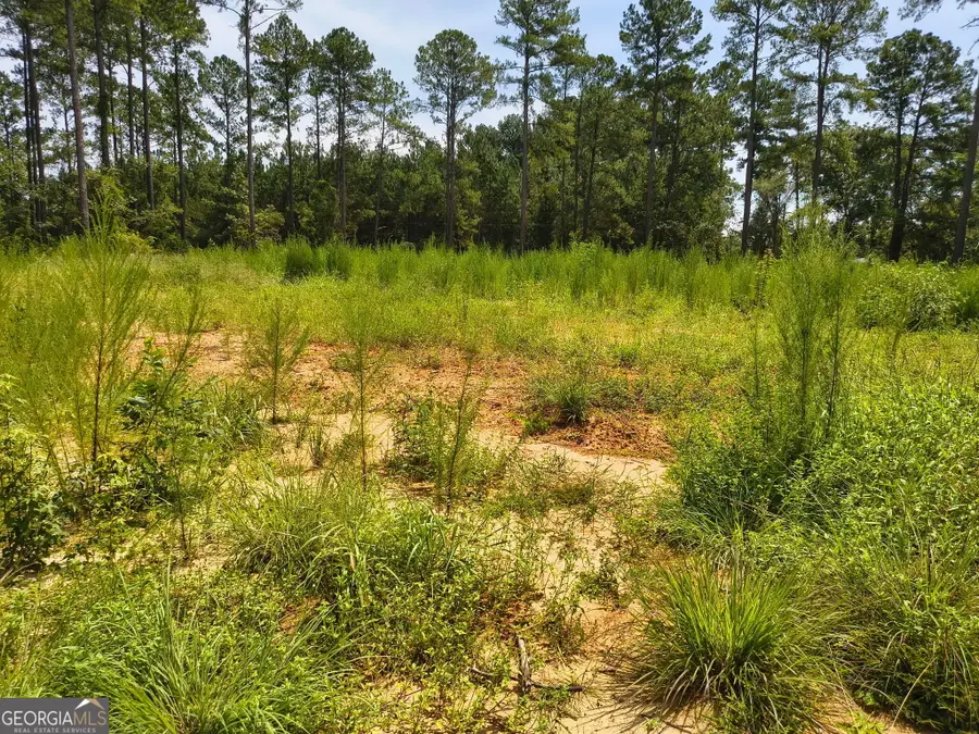 0 Mosley Bridge Road, Claxton, GA 30417 - #2