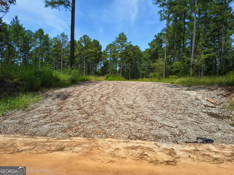 0 Mosley Bridge Road, Claxton, GA 30417 - #3