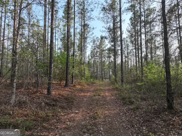 195 County Line Road, Lumpkin, GA 31815