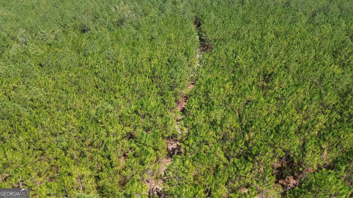 TRACT 3 Penny Morris Road, Baxley, GA 31513 - #1