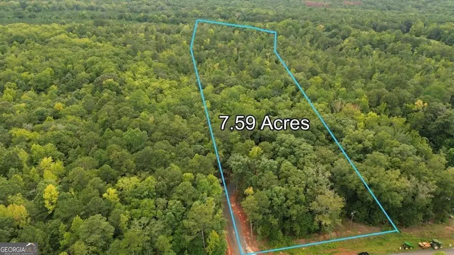 0 Roosevelt Hwy - Lot 2, Warm Springs, GA 31830 - #3