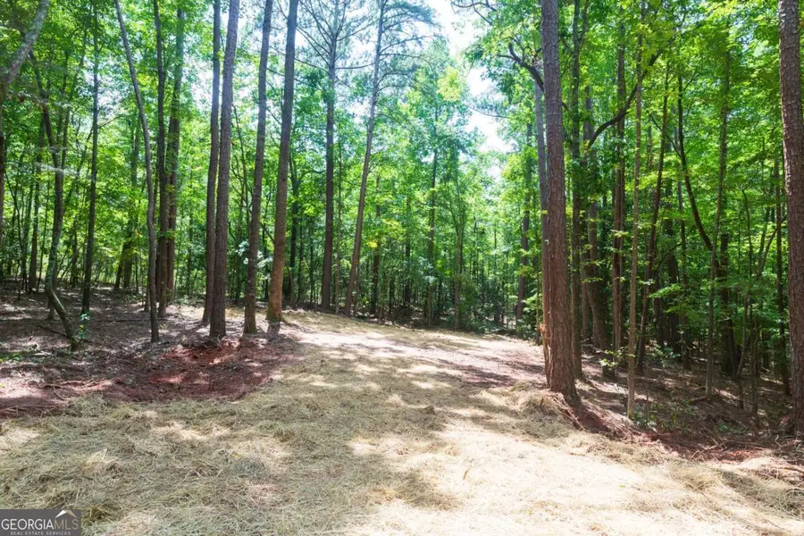 0 Roosevelt Hwy - Lot 1, Warm Springs, GA 31830 - #3