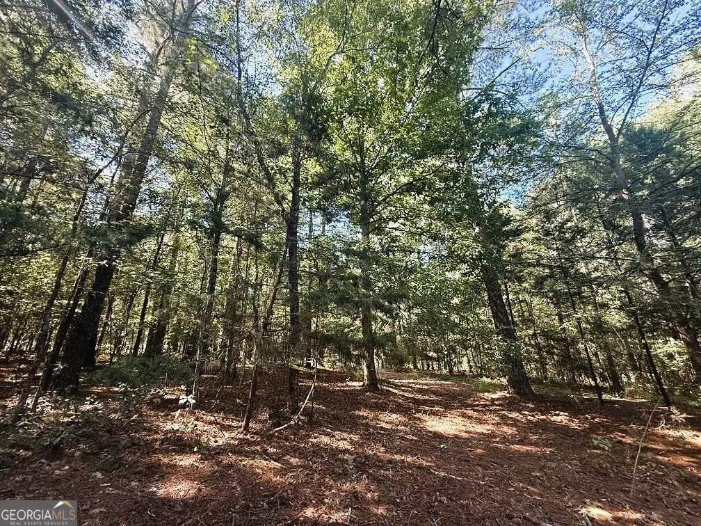 2604 Hughes Rd, Bowman, GA 30624 - #1
