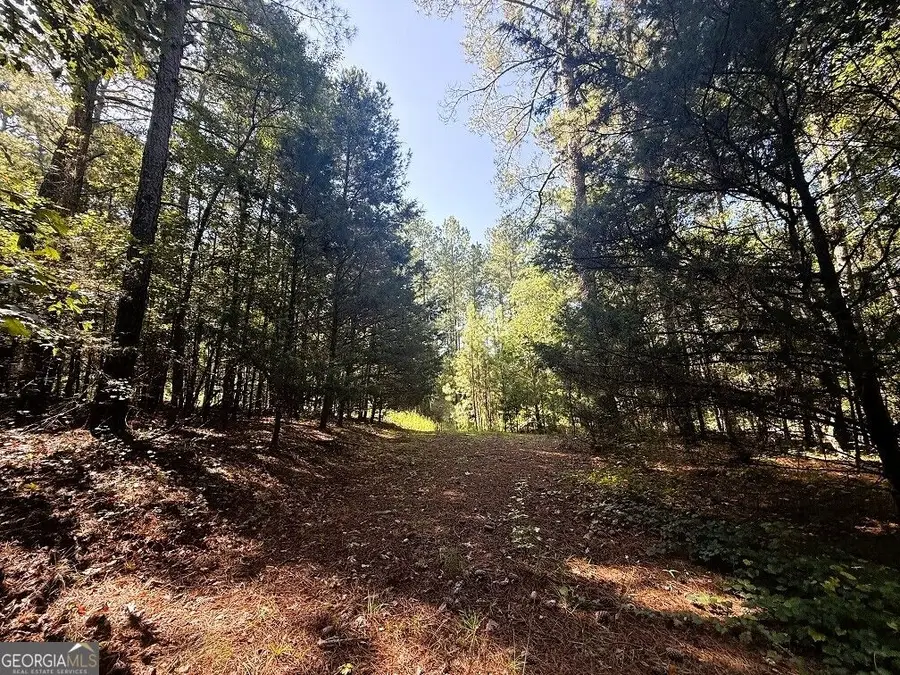 2604 Hughes Rd, Bowman, GA 30624 - #2