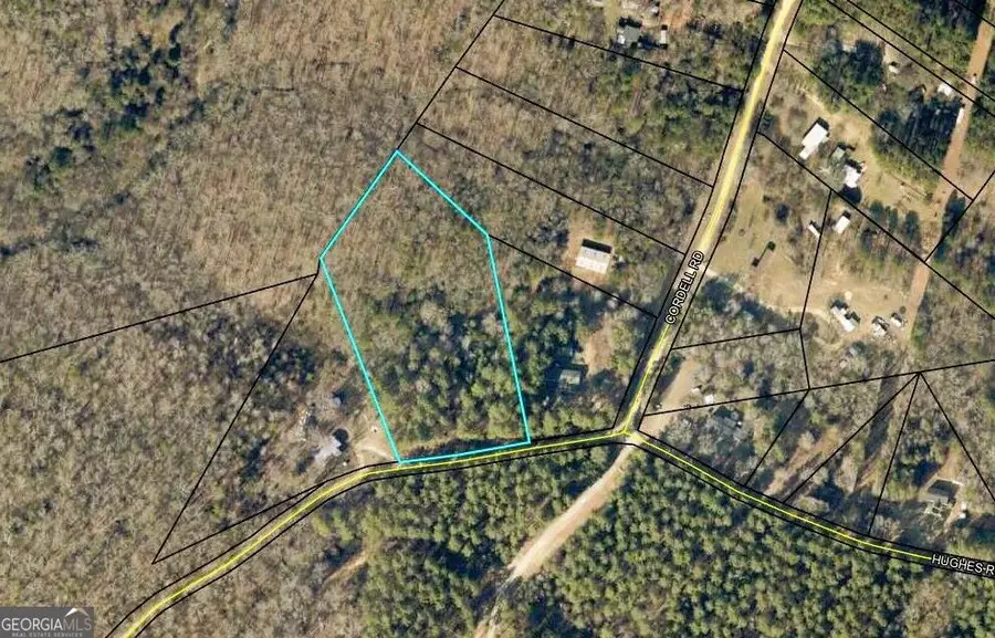 2604 Hughes Rd, Bowman, GA 30624 - #3