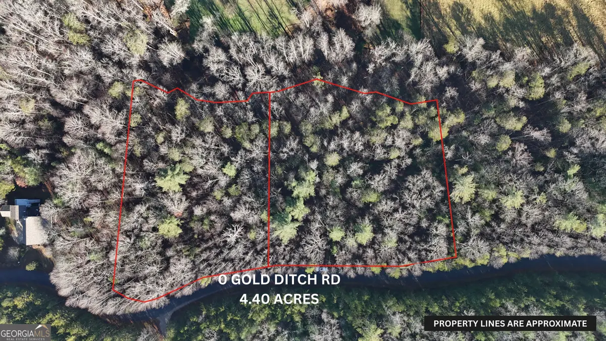 LOT 10 Gold Ditch Road, Cleveland, GA 30528 - #1
