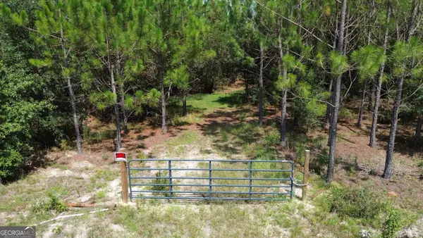 TRACT 4 Penny Morris Road, Baxley, GA 31513
