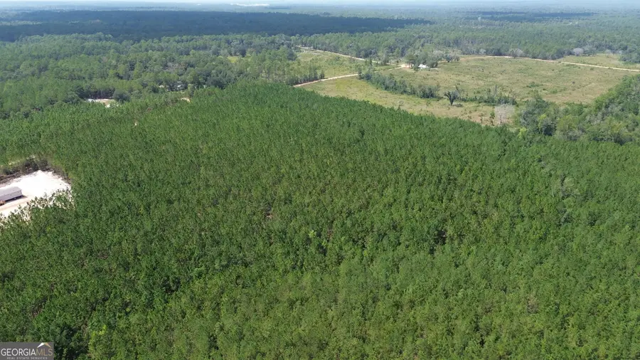 TRACT 5 Penny Morris Road, Baxley, GA 31513 - #3
