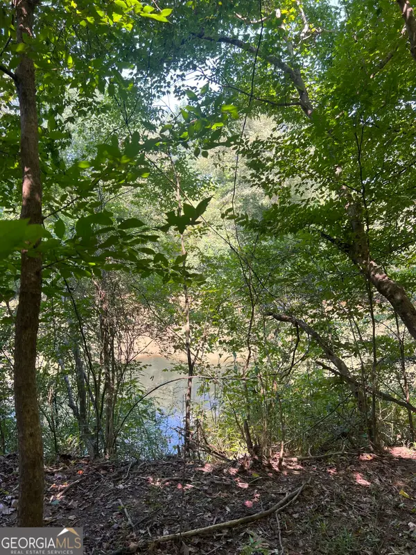 185 River Shoals Court, Covington, GA 30016