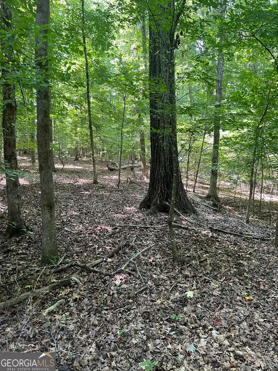 185 River Shoals Court, Covington, GA 30016 - #2