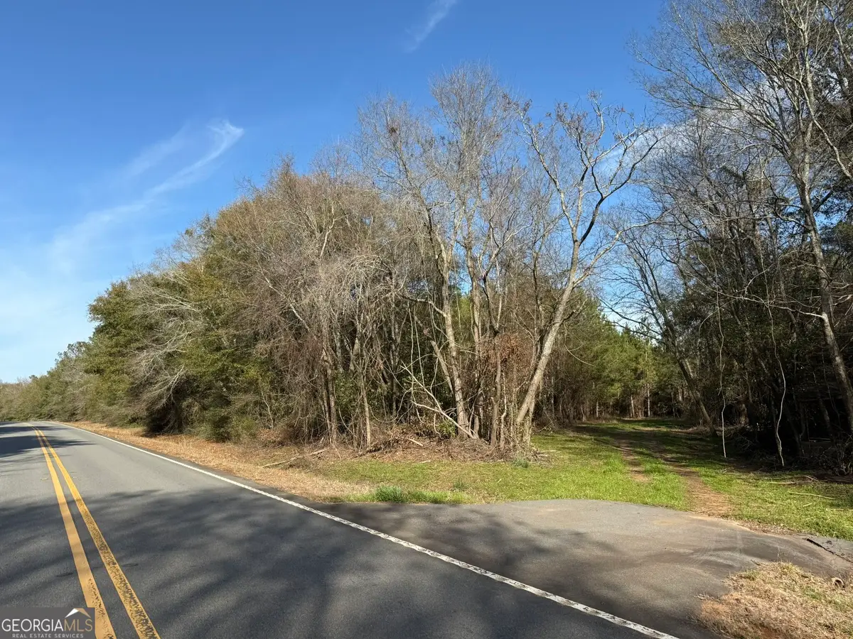 006 State Route 45, Plains, GA 31780 - #1