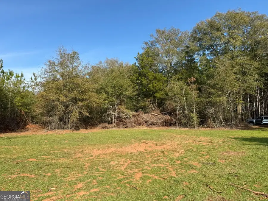 006 State Route 45, Plains, GA 31780 - #3