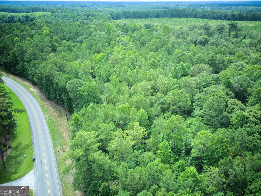 0 PARCEL 100 Judge Brown Road, Valley, AL 36854 - #2