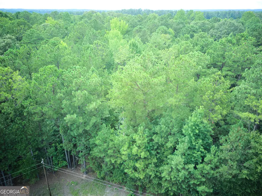 0 PARCEL 100 Judge Brown Road, Valley, AL 36854 - #3