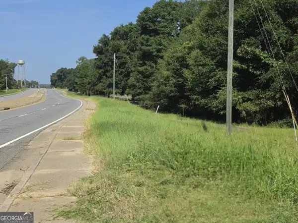 0 Airport Rd, Hawkinsville, GA 31036