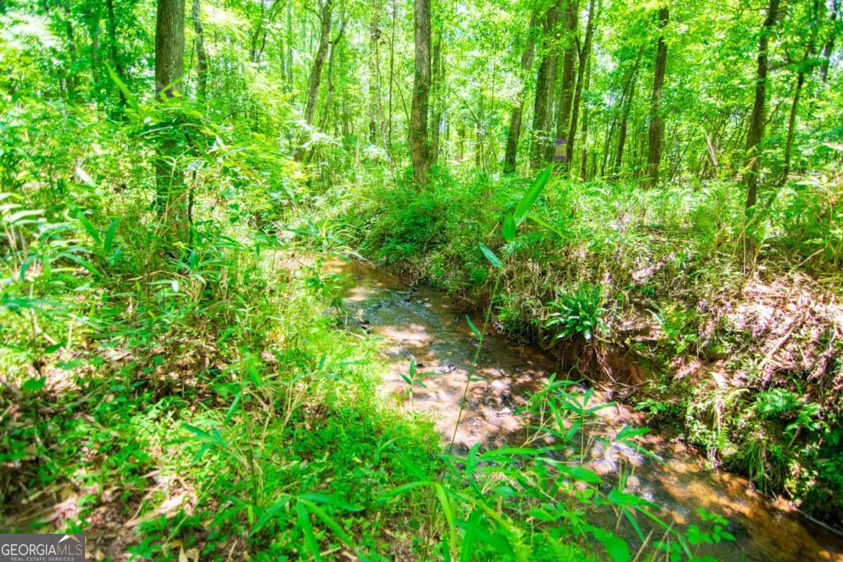 0 White Road, Pine Mountain, GA 31822 - #1