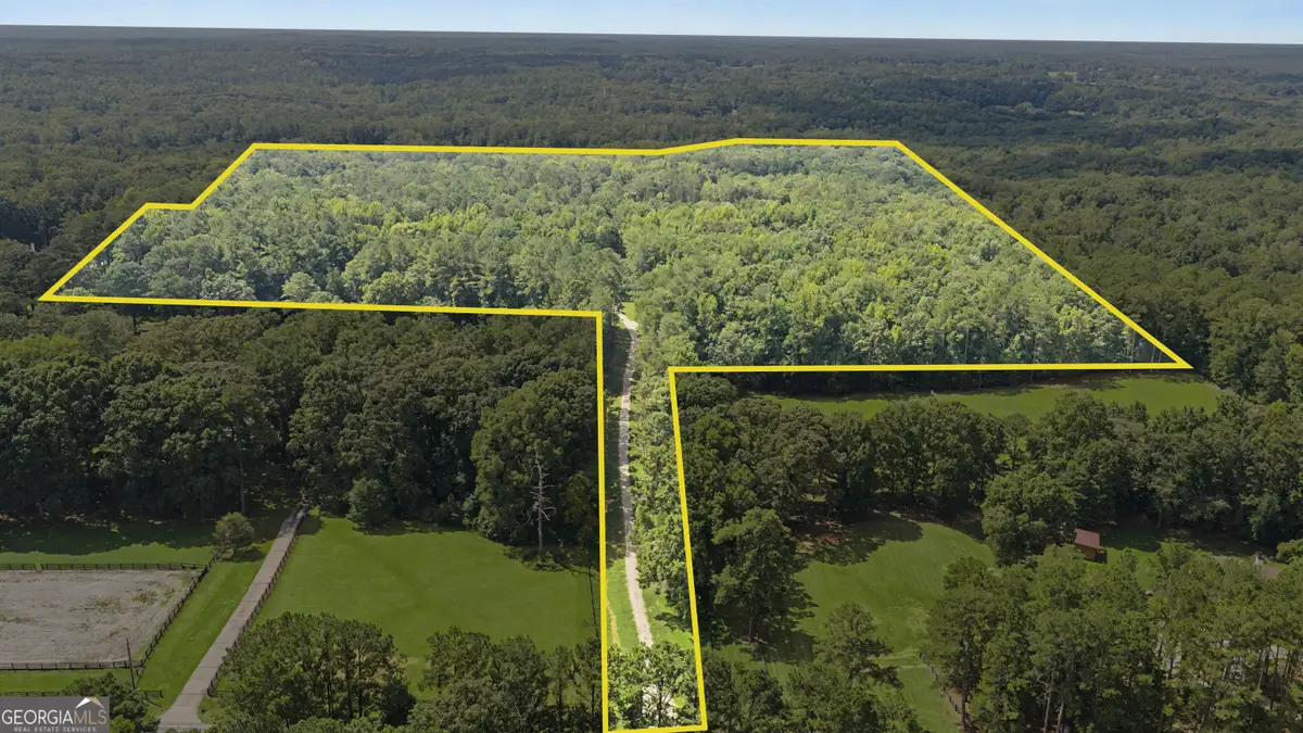 38.682 ACRES Btwn 446 & 478 Rising Star Rd., Brooks, GA 30205 - #1