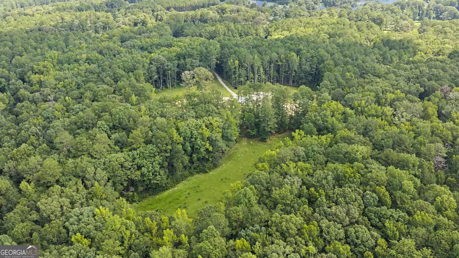 38.682 ACRES Btwn 446 & 478 Rising Star Rd., Brooks, GA 30205 - #3