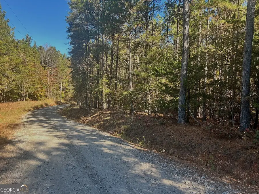 17.86AC Pine Ridge Drive, Elberton, GA 30635 - #3