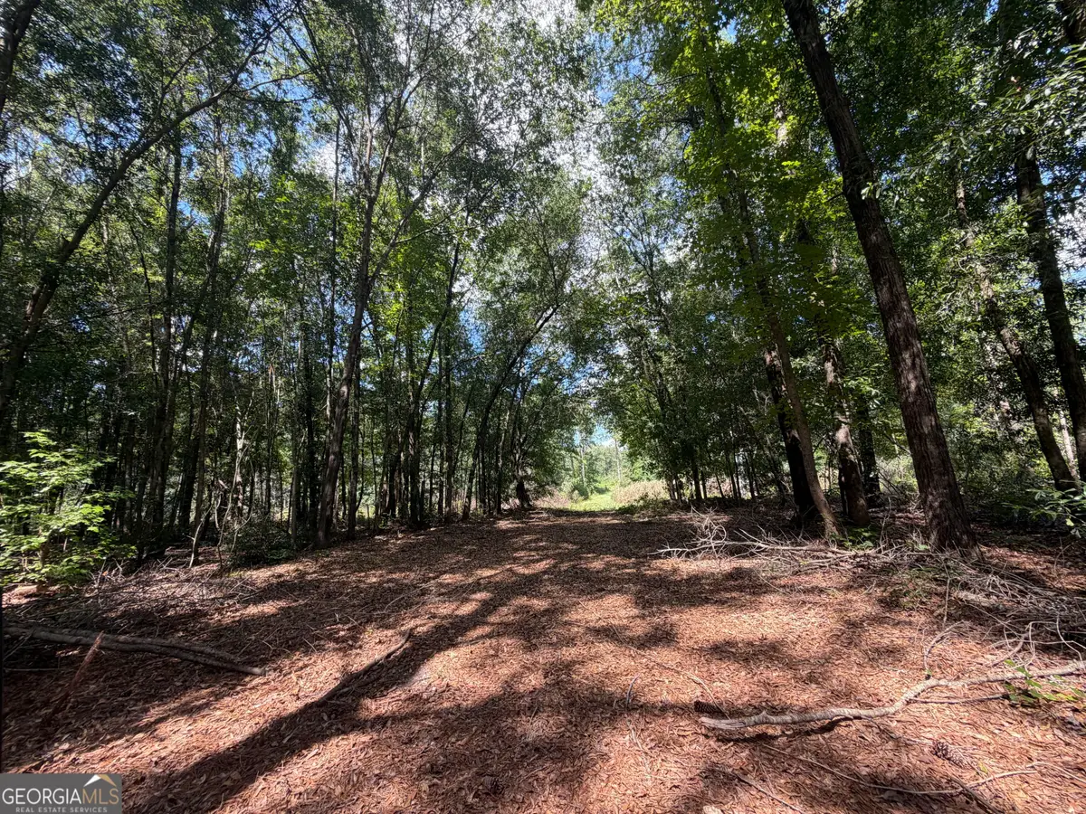 10 Sunhill Grange Road, Davisboro, GA 31018 - #1