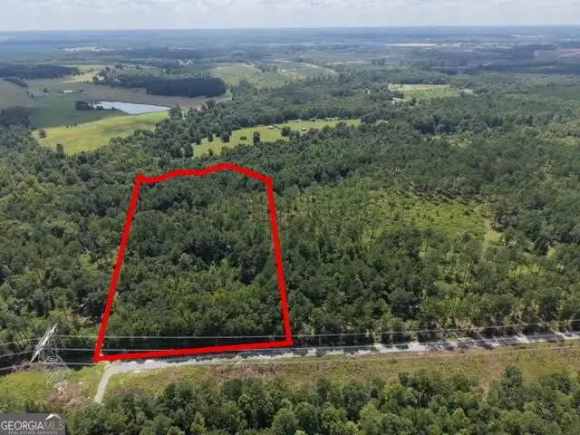 10 Sunhill Grange Road, Davisboro, GA 31018 - #2