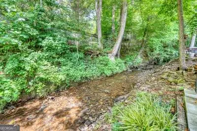 216 Bear Bend, Blairsville, GA 30512 - #3
