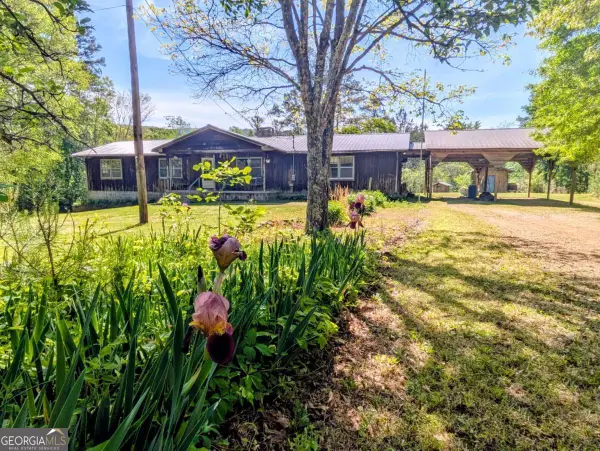 3905 Sloppy Floyd Lake Road, Summerville, GA 30747