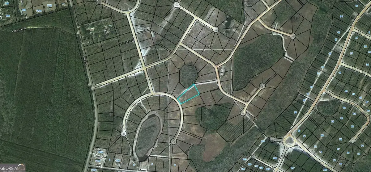 LOT 114 Pinecrest, Waynesville, GA 31566 - #1