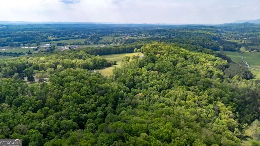 0 Bicentennial Trail #4, Rock Spring, GA 30739 - #2