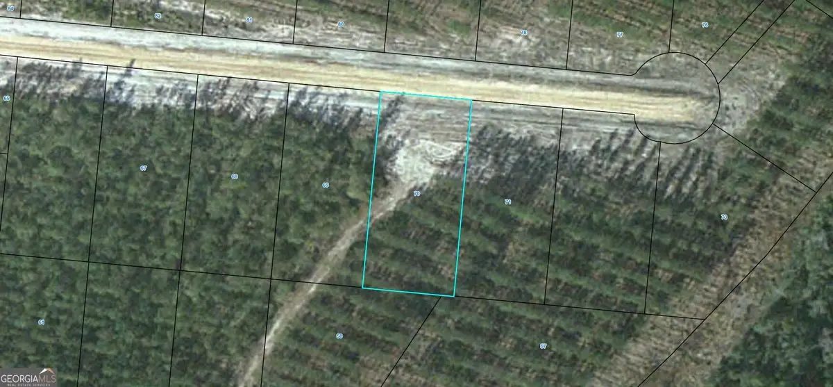 LOT 70 Satilla Plantation, Waynesville, GA 31566 - #1