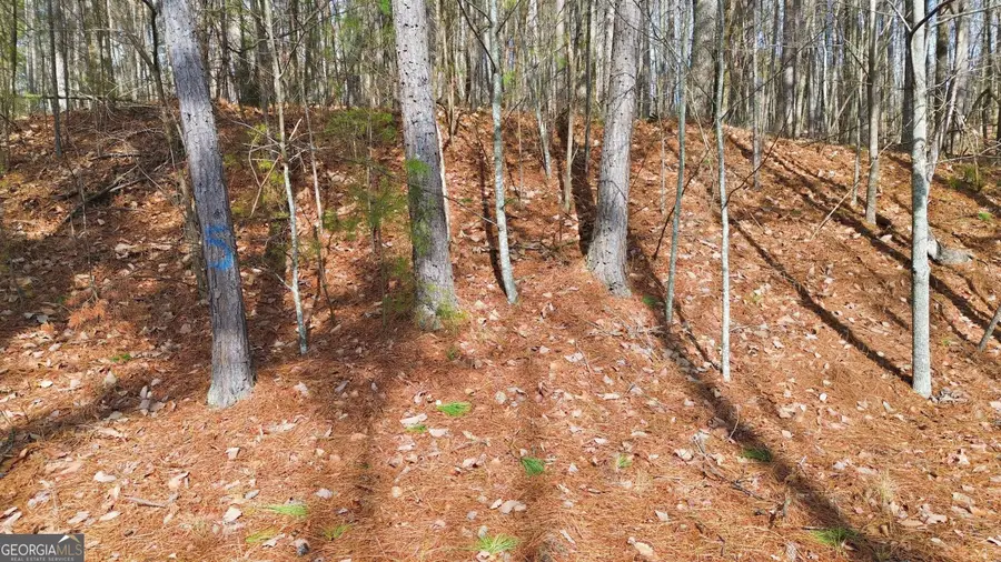765 Plum Lane #LOT 765, Clarkesville, GA 30523 - #2