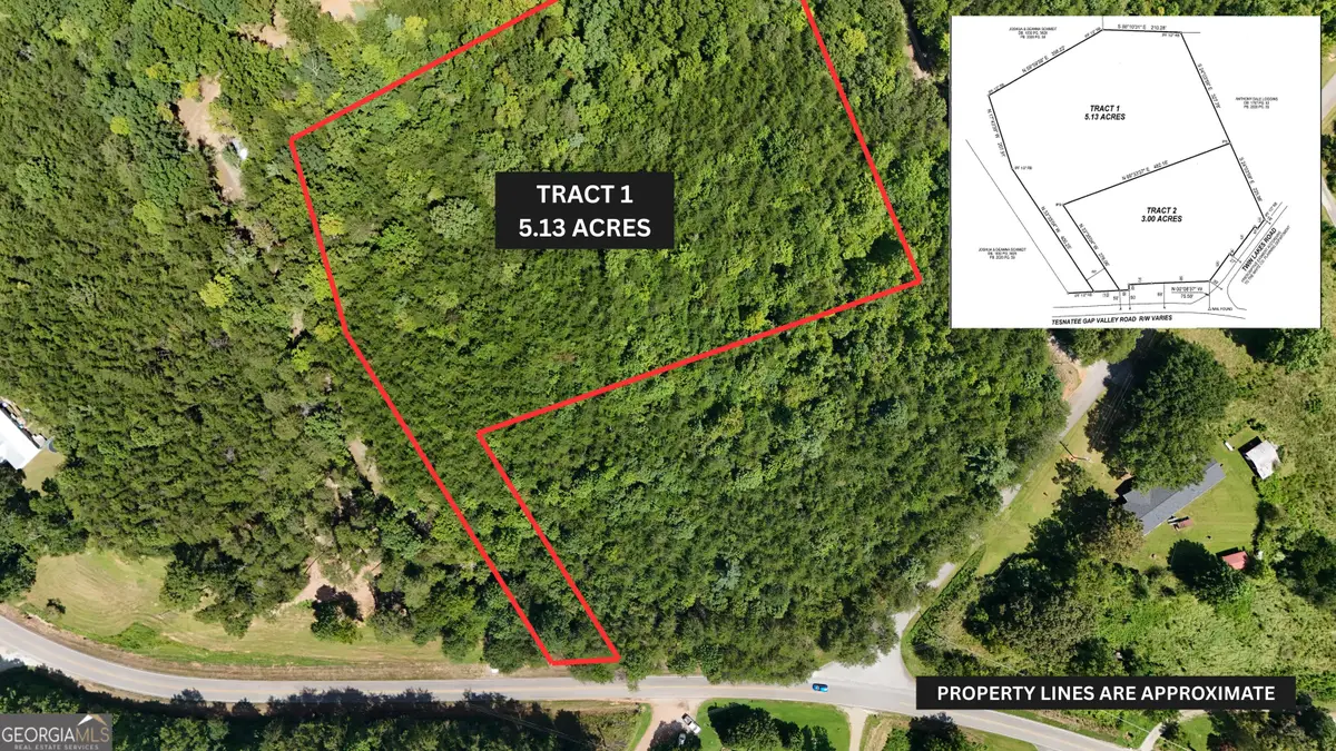 TRACT 1 Tesnatee Gap Valley Rd, Cleveland, GA 30528 - #1