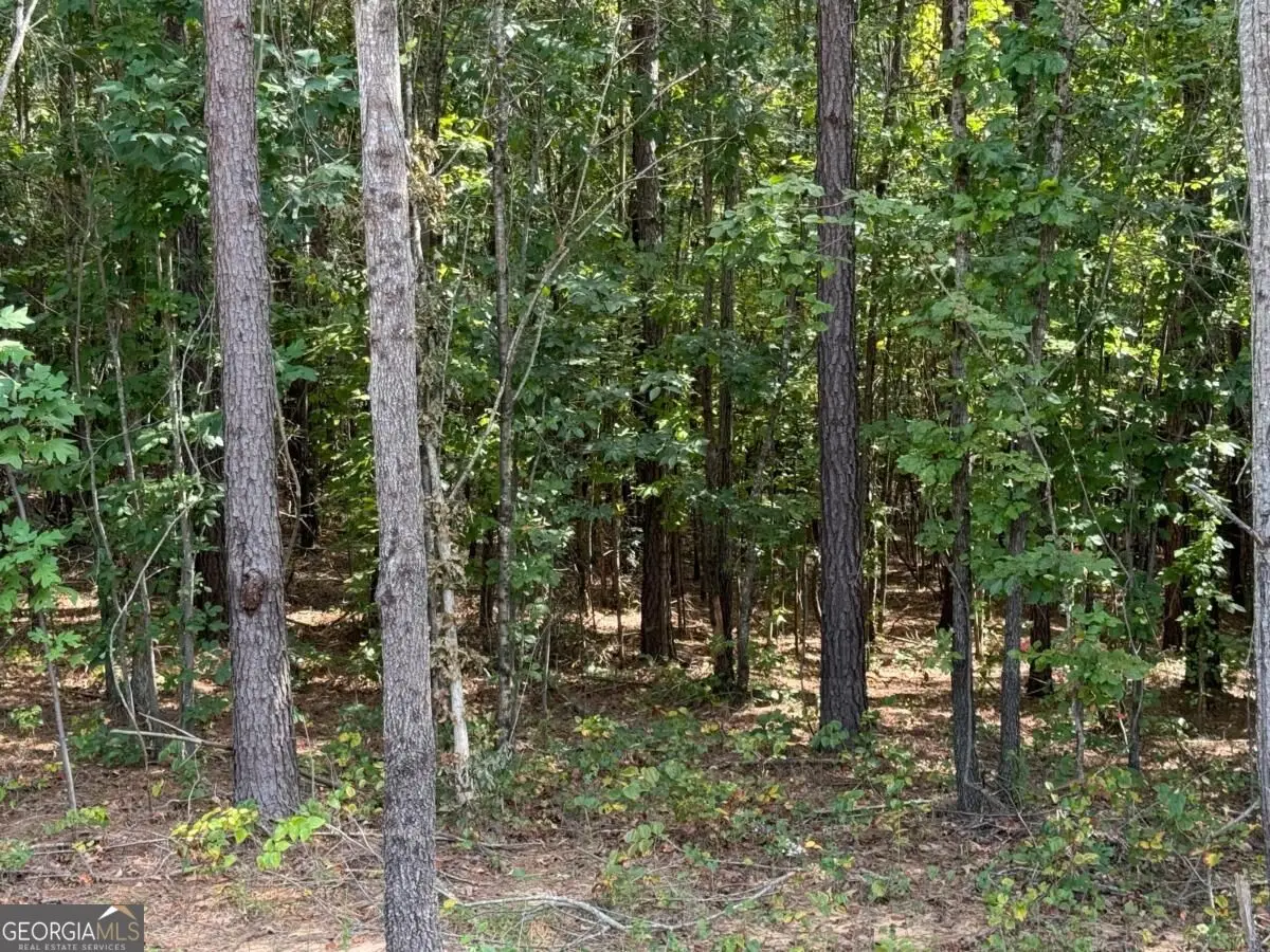 0 Lone Bear Path, Dallas, GA 30132 - #1