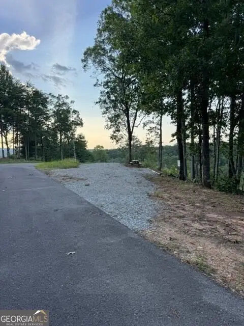 290 Eagle View Dr - Lot #20, Ellijay, GA 30540 - #3