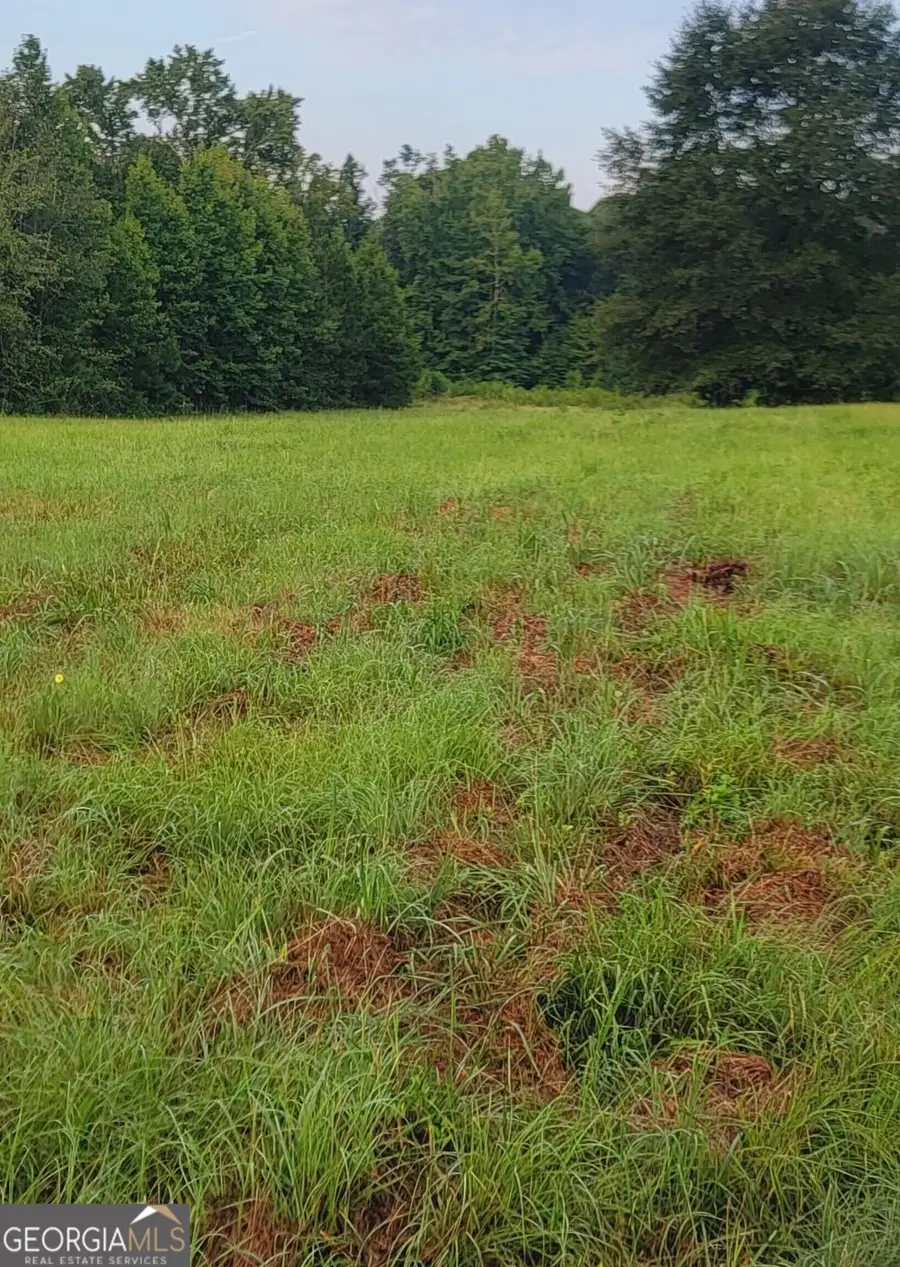0 Bankston Rd., Meansville, GA 30256 - #3