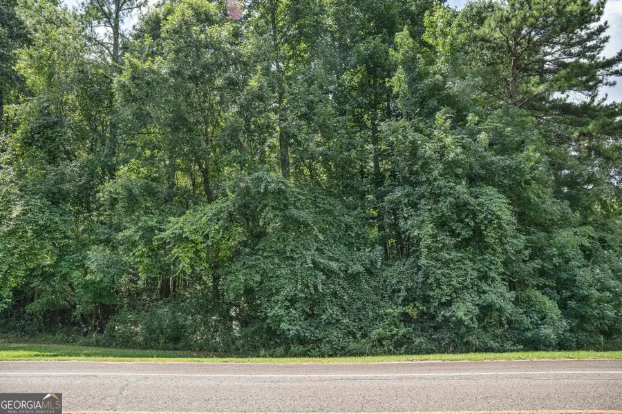 111 Crescent Drive, Forsyth, GA 31029 - #3