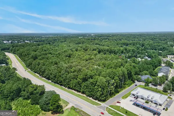 0 Harris Trail Road, Richmond Hill, GA 31324