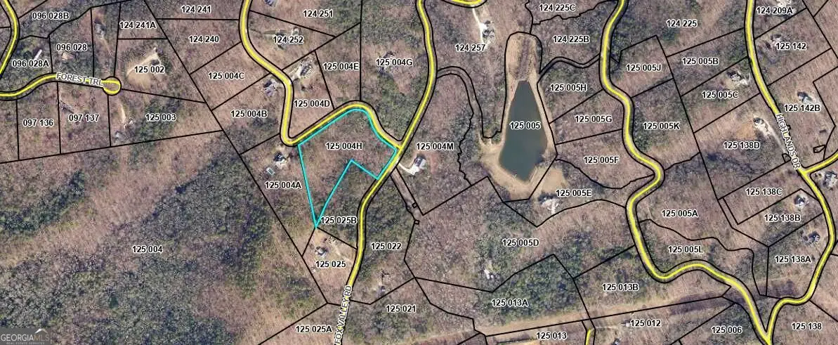 0 Little Eagle Mountain Road, Clarkesville, GA 30523 - #1