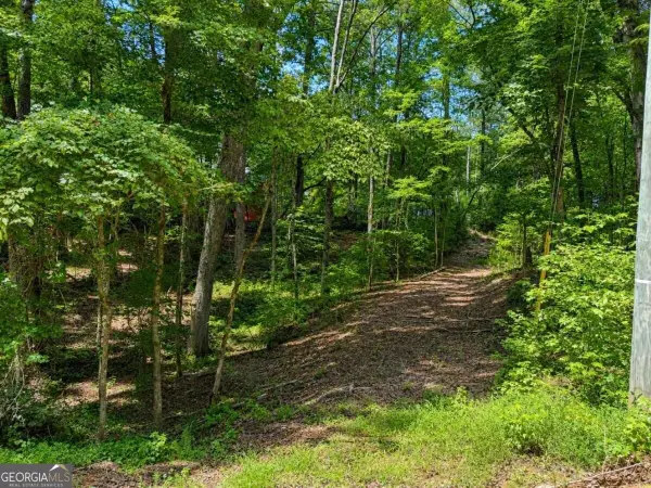 6195 Belle Meade Drive, Villa Rica, GA 30180