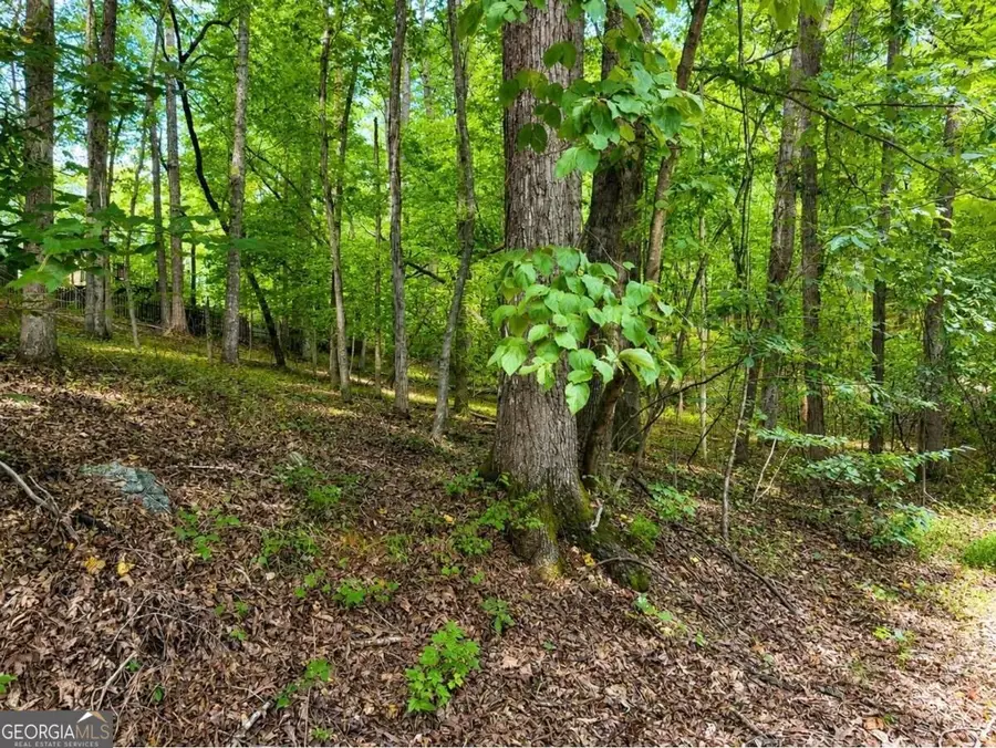 6195 Belle Meade Drive, Villa Rica, GA 30180 - #2