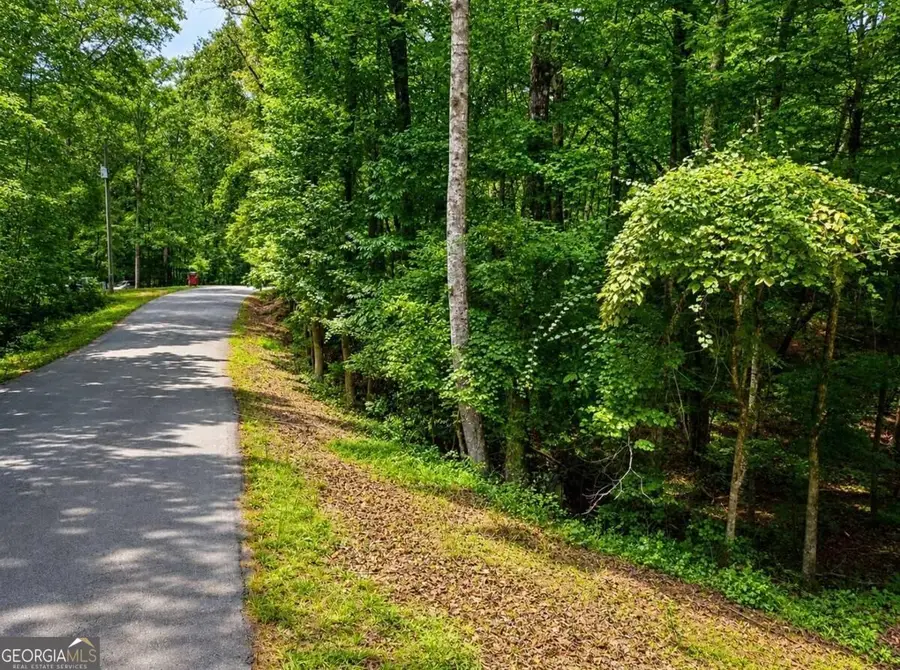 6195 Belle Meade Drive, Villa Rica, GA 30180 - #3