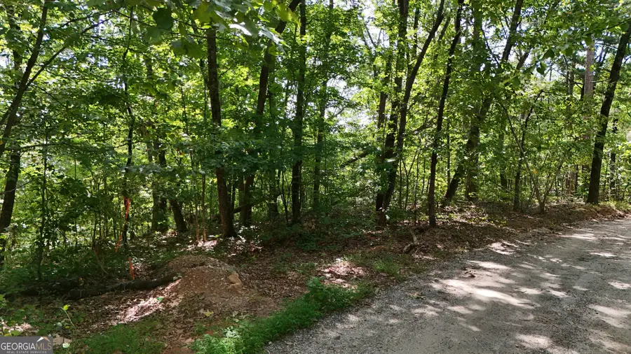 LOT 175 Mountain Crest Drive, Clarkesville, GA 30523 - #2