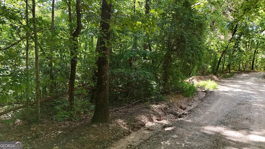 LOT 174 Mountain Crest Drive, Clarkesville, GA 30523 - #2