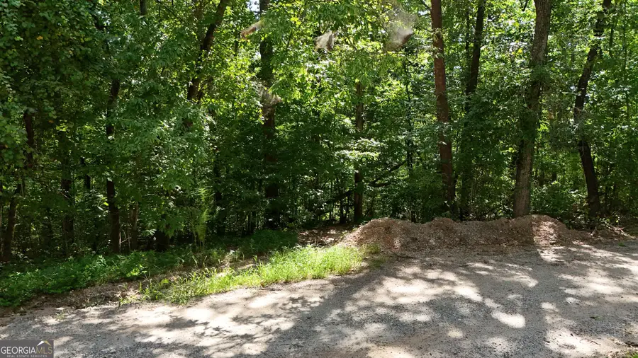 LOT 174 Mountain Crest Drive, Clarkesville, GA 30523 - #3