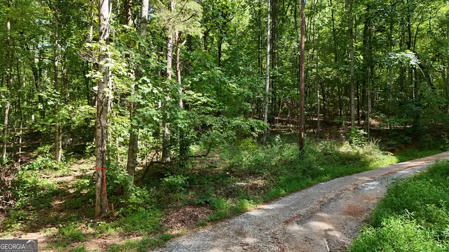 LOT 182 Hillside Drive, Clarkesville, GA 30523 - #2