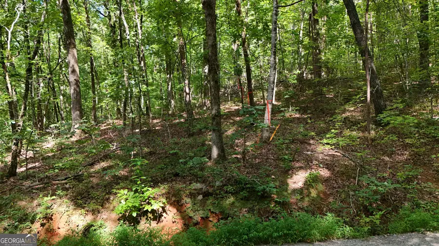 LOT 182 Hillside Drive, Clarkesville, GA 30523 - #3
