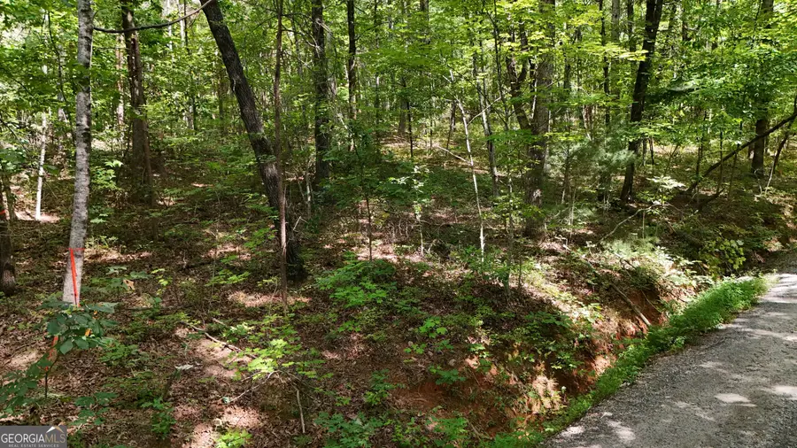 LOT 183 Hillside Drive, Clarkesville, GA 30523 - #2