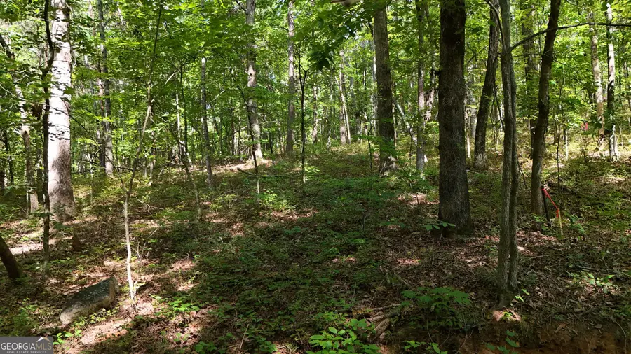 LOT 183 Hillside Drive, Clarkesville, GA 30523 - #3